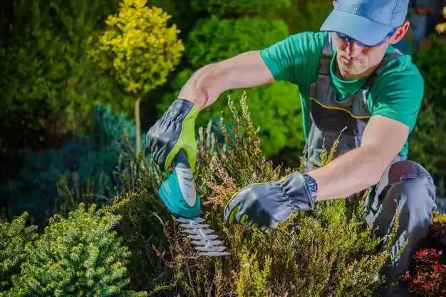 landscaping services Ogdensburg